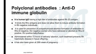 Polyclonal antibodies : Anti-D
immune globulin
■ It is human IgG having a high titer of antibodies against Rh (D) antigen.
■ It binds the Rho antigens and does not allow them to induce antibody formation
in Rh negative individuals.
■ It is used for prevention of postpartum/post-abortion formation of antibodies in
Rho-D negative, DU negative women who have delivered or aborted an Rho-D
positive, DU positive baby/foetus.
■ Administered within 72 hours of delivery/ abortion, such treatment prevents Rh
haemolytic disease in future offspring.
■ It has also been given at 28th week of pregnancy
sanju kaladharan
 