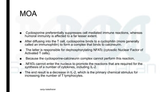 MOA
■ Cyclosporine preferentially suppresses cell mediated immune reactions, whereas
humoral immunity is affected to a far lesser extent.
■ After diffusing into the T cell, cyclosporine binds to a cyclophilin (more generally
called an immunophilin) to form a complex that binds to calcineurin.
■ The latter is responsible for dephosphorylating NFATc (cytosolic Nuclear Factor of
Activated T cells).
■ Because the cyclosporine-calcineurin complex cannot perform this reaction,
■ NFATc cannot enter the nucleus to promote the reactions that are required for the
synthesis of a number of cytokines, including IL-2.
■ The end result is a decrease in IL-2, which is the primary chemical stimulus for
increasing the number of T lymphocytes.
sanju kaladharan
 