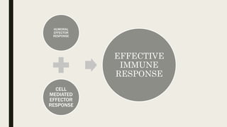 HUMORAL
EFFECTOR
RESPONSE
CELL
MEDIATED
EFFECTOR
RESPONSE
EFFECTIVE
IMMUNE
RESPONSE
 