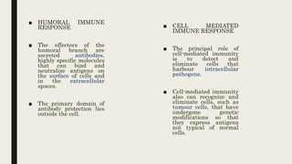 ■ HUMORAL IMMUNE
RESPONSE
■ The effectors of the
humoral branch are
secreted antibodies,
highly specific molecules
that can bind and
neutralize antigens on
the surface of cells and
in the extracellular
spaces.
■ The primary domain of
antibody protection lies
outside the cell.
■ CELL MEDIATED
IMMUNE RESPONSE
■ The principal role of
cell-mediated immunity
is to detect and
eliminate cells that
harbour intracellular
pathogens.
■ Cell-mediated immunity
also can recognize and
eliminate cells, such as
tumour cells, that have
undergone genetic
modifications so that
they express antigens
not typical of normal
cells.
 