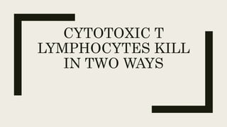 CYTOTOXIC T
LYMPHOCYTES KILL
IN TWO WAYS
 