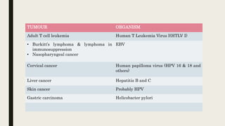 TUMOUR ORGANISM
Adult T cell leukemia Human T Leukemia Virus I(HTLV I)
• Burkitt’s lymphoma & lymphoma in
immunosuppression
• Nasopharyngeal cancer
EBV
Cervical cancer Human papilloma virus (HPV 16 & 18 and
others)
Liver cancer Hepatitis B and C
Skin cancer Probably HPV
Gastric carcinoma Helicobacter pylori
 