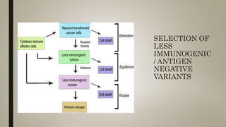 SELECTION OF
LESS
IMMUNOGENIC
/ ANTIGEN
NEGATIVE
VARIANTS
 