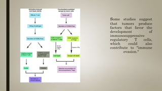 some studies suggest
that tumors produce
factors that favor the
development of
immunosuppressive
regulatory T cells,
which could also
contribute to "immune
evasion."
 