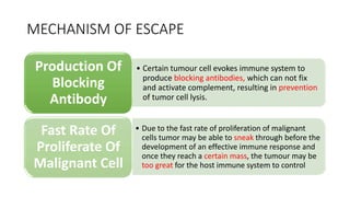MECHANISM OF ESCAPE
• Certain tumour cell evokes immune system to
produce blocking antibodies, which can not fix
and activate complement, resulting in prevention
of tumor cell lysis.
Production Of
Blocking
Antibody
• Due to the fast rate of proliferation of malignant
cells tumor may be able to sneak through before the
development of an effective immune response and
once they reach a certain mass, the tumour may be
too great for the host immune system to control
Fast Rate Of
Proliferate Of
Malignant Cell
 