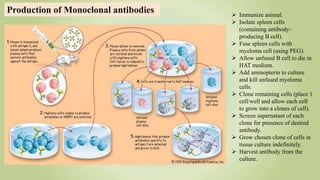 Production of Monoclonal antibodies  Immunize animal.
 Isolate spleen cells
(containing antibody-
producing B cell).
 Fuse spleen cells with
myeloma cell (using PEG).
 Allow unfused B cell to die in
HAT medium.
 Add aminopterin to culture
and kill unfused myeloma
cells.
 Clone remaining cells (place 1
cell/well and allow each cell
to grow into a clones of cell).
 Screen supernatant of each
clone for presence of desired
antibody.
 Grow chosen clone of cells in
tissue culture indefinitely.
 Harvest antibody from the
culture.
 