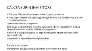 CALCENEURIN INHIBITORS
• The most effective immunosuppressive drugs in routine use
• They target intracellular signaling pathways induced as a consequence of T cell–
receptor activation
DRUGS-Tacrolimus,Cyclosporine
Both drugs are functionally same but cyclosporine binds to cyclophilin-binding
protein&tacrolimus binds to FKBP-FK binding protein
Activated T-cells produces IL2 via dephosphorylation of NAFT(nuclear factor
activated T cell)
Calceneurin is needed for dephosphorylation
Translocate to nucleus
Transcription of IL2 gene(helps in further proliferation of T-cells)
 