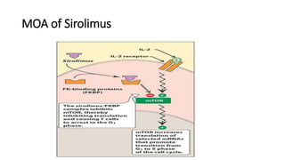 MOA of Sirolimus
 