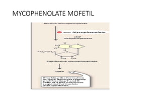 MYCOPHENOLATE MOFETIL
 