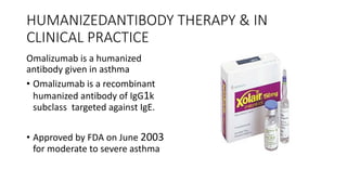 HUMANIZEDANTIBODY THERAPY & IN
CLINICAL PRACTICE
Omalizumab is a humanized
antibody given in asthma
• Omalizumab is a recombinant
humanized antibody of IgG1k
subclass targeted against IgE.
• Approved by FDA on June 2003
for moderate to severe asthma
 