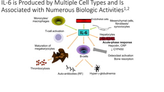 IL-6 is Produced by Multiple Cell Types and Is
Associated with Numerous Biologic Activities1,2
Endothelial cellsMonocytes/
macrophages
T-cell activation
Hepatocytes
Acute-phase response
Hepcidin, CRP
↓ CYP450
Maturation of
megakaryocytes
Thrombocytosis
Osteoclast activation
Bone resorption
B-cells
Hyper-γ-globulinemiaAuto-antibodies (RF)
IL-6
Mesenchymal cells,
fibroblasts/
synoviocytes
 