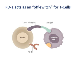 PD-1 acts as an “off-switch” for T-Cells
 