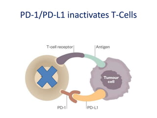 PD-1/PD-L1 inactivates T-Cells
 