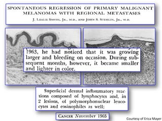 Courtesy of Erica Mayer
 