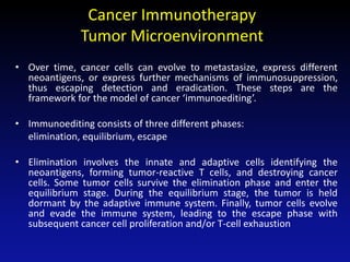 Cancer Immunotherapy
Tumor Microenvironment
• Over time, cancer cells can evolve to metastasize, express different
neoantigens, or express further mechanisms of immunosuppression,
thus escaping detection and eradication. These steps are the
framework for the model of cancer ‘immunoediting’.
• Immunoediting consists of three different phases:
elimination, equilibrium, escape
• Elimination involves the innate and adaptive cells identifying the
neoantigens, forming tumor-reactive T cells, and destroying cancer
cells. Some tumor cells survive the elimination phase and enter the
equilibrium stage. During the equilibrium stage, the tumor is held
dormant by the adaptive immune system. Finally, tumor cells evolve
and evade the immune system, leading to the escape phase with
subsequent cancer cell proliferation and/or T-cell exhaustion
 