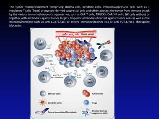 The tumor microenvironment comprising stroma cells, dendritic cells, immunosuppressive cells such as T
regulatory T cells (Tregs) or myeloid-derived suppressor cells and others protect the tumor from immune attack
by the various immunotherapeutic approaches, such as CAR T cells, TRUCKS, CAR NK cells, NK cells without or
together with antibodies against tumor targets, bispecific antibodies directed against tumor cells as well as the
microenvironment such as anti-CD276/CD3 or others, immunocytokines (IC) or anti-PD-L1/PD-1 checkpoint
blockade .
 