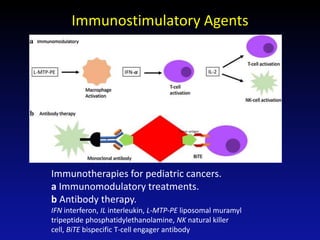 Immunostimulatory Agents
Immunotherapies for pediatric cancers.
a Immunomodulatory treatments.
b Antibody therapy.
IFN interferon, IL interleukin, L-MTP-PE liposomal muramyl
tripeptide phosphatidylethanolamine, NK natural killer
cell, BiTE bispecific T-cell engager antibody
 