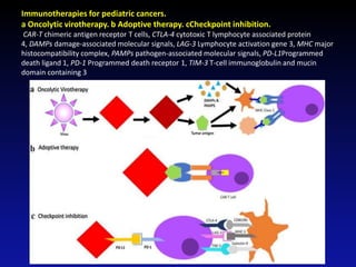 Immunotherapies for pediatric cancers.
a Oncolytic virotherapy. b Adoptive therapy. cCheckpoint inhibition.
CAR-T chimeric antigen receptor T cells, CTLA-4 cytotoxic T lymphocyte associated protein
4, DAMPs damage-associated molecular signals, LAG-3 Lymphocyte activation gene 3, MHC major
histocompatibility complex, PAMPs pathogen-associated molecular signals, PD-L1Programmed
death ligand 1, PD-1 Programmed death receptor 1, TIM-3 T-cell immunoglobulin and mucin
domain containing 3
 