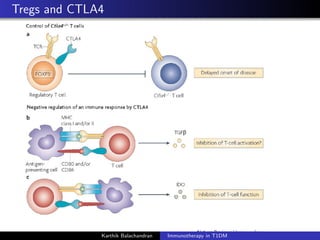 Tregs and CTLA4
Karthik Balachandran Immunotherapy in T1DM
 