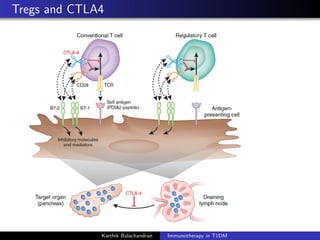 Tregs and CTLA4
Karthik Balachandran Immunotherapy in T1DM
 