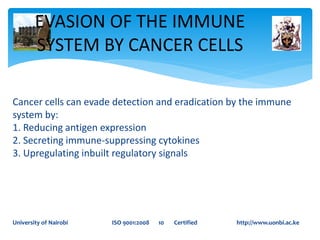 Cancer cells can evade detection and eradication by the immune
system by:
1. Reducing antigen expression
2. Secreting immune-suppressing cytokines
3. Upregulating inbuilt regulatory signals
EVASION OF THE IMMUNE
SYSTEM BY CANCER CELLS
University of Nairobi ISO 9001:2008 10 Certified http://www.uonbi.ac.ke
 