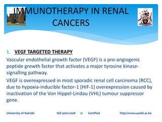 1. VEGF TARGETED THERAPY
Vascular endothelial growth factor (VEGF) is a pro-angiogenic
peptide growth factor that activates a major tyrosine kinase-
signalling pathway.
VEGF is overexpressed in most sporadic renal cell carcinoma (RCC),
due to hypoxia-inducible factor-1 (HIF-1) overexpression caused by
inactivation of the Von Hippel-Lindau (VHL) tumour suppressor
gene.
IMMUNOTHERAPY IN RENAL
CANCERS
University of Nairobi ISO 9001:2008 21 Certified http://www.uonbi.ac.ke
 