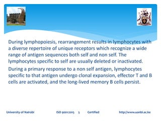 During lymphopoiesis, rearrangement results in lymphocytes with
a diverse repertoire of unique receptors which recognize a wide
range of antigen sequences both self and non self. The
lymphocytes specific to self are usually deleted or inactivated.
During a primary response to a non self antigen, lymphocytes
specific to that antigen undergo clonal expansion, effector T and B
cells are activated, and the long-lived memory B cells persist.
University of Nairobi ISO 9001:2015 5 Certified http://www.uonbi.ac.ke
 