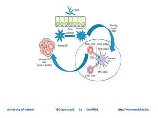 University of Nairobi ISO 9001:2008 64 Certified http://www.uonbi.ac.ke
 