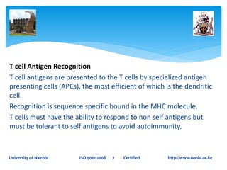 T cell Antigen Recognition
T cell antigens are presented to the T cells by specialized antigen
presenting cells (APCs), the most efficient of which is the dendritic
cell.
Recognition is sequence specific bound in the MHC molecule.
T cells must have the ability to respond to non self antigens but
must be tolerant to self antigens to avoid autoimmunity.
University of Nairobi ISO 9001:2008 7 Certified http://www.uonbi.ac.ke
 