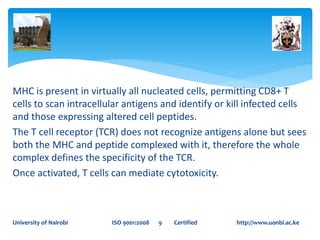 MHC is present in virtually all nucleated cells, permitting CD8+ T
cells to scan intracellular antigens and identify or kill infected cells
and those expressing altered cell peptides.
The T cell receptor (TCR) does not recognize antigens alone but sees
both the MHC and peptide complexed with it, therefore the whole
complex defines the specificity of the TCR.
Once activated, T cells can mediate cytotoxicity.
University of Nairobi ISO 9001:2008 9 Certified http://www.uonbi.ac.ke
 