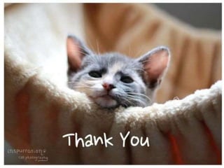 Immunotherapy, radiation, chemotherapy