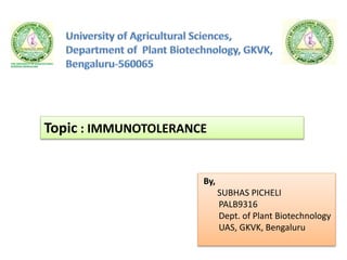 Topic : IMMUNOTOLERANCE
By,
SUBHAS PICHELI
PALB9316
Dept. of Plant Biotechnology
UAS, GKVK, Bengaluru
 