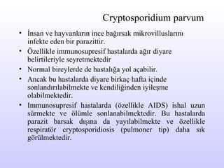Cryptosporidium parvum İ nsan ve hayvanların ince bağırsak mikrovilluslarını infekte e den bir parazittir. Özellikle immun osupresif  hastalarda ağır diyare belirtileriyle seyretmektedir   N ormal bireylerde   de hastalı ğa yol açabilir.  Ancak   b u hastalarda diyare birkaç hafta içinde sonlandırılabilmekte ve kendiliğinden iyileşme olabilmektedir.  Immun osupresif  hastalarda (özellikle A ID S) ishal uzun sürmekte ve ölümle sonlanabilmektedir. Bu hastalarda parazit barsak dışına da yayılabilmekte ve özellikle respiratör cryptosporidiosis (pulmoner tip) daha sık görülmektedir. 