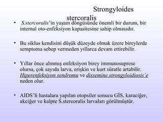 Strongyloides stercoralis S . stercoralis ’in yaşam döngüsünde önemli bir durum, bir internal oto-enfeksiyon kapasitesine sahip olmasıdır.  Bu siklus kendisini düşük düzeyde olmak üzere bireylerde semptoma sebep vermeden yıllarca devam ettirebilir .  Yıllar önce alınmış enfeksiyon birey immunosuprese olur sa,  çok sayıda larva, erişkin ve kurt süratle artabilir .  H iperenfeksiyon sendromu  ve  dissemine strongyloidiosis’e  neden olur.   AIDS’li hastalara yapılan otopsiler sonucu GİS, karaciğer, akciğer ve kalpte S.stercoralis larvaları görülmüştür. 