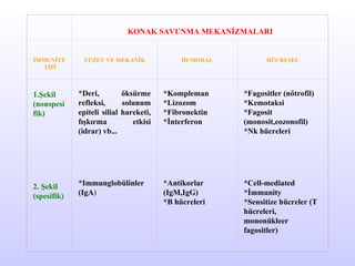   KONAK SAVUNMA MEKANİZMALARI İMMUNİTE TİPİ   YÜZEY VE MEKANİK   HUMORAL   HÜCRESEL 1.Şekil   (nonspesifik )         2. Şekil (spesifik)   * Deri,   öksürme   refleksi ,  solunum  epiteli silial  hareketi, fışkırma etkisi (idrar)  vb.. . * Immunglobülinler (IgA )       *Kompleman *Lizozom *Fibronektin *İnterferon             *Antikorlar   (IgM,IgG) *B hücreleri       *Fagositler (nötrofil) *Kemotaksi *Fagosit (monosit,eozonofil) *Nk hücreleri   *Cell-mediated *İmmunity *Sensitize hücreler (T hücreleri, mononükleer fagositler) 