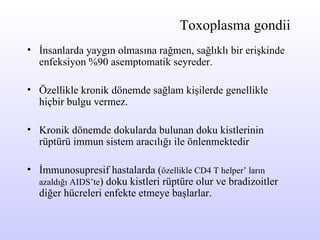 Toxoplasma gondii İnsanlarda   yaygın olmasına rağmen,  sağlıklı bir erişkinde enfeksiyon %90 asemptomatik seyreder.   Özellikle kronik dönemde sağlam kişilerde genellikle  hiçbir  bulgu vermez . Kronik dönemde dokularda bulunan d oku kistleri nin rüptürü immun sistem aracılığı ile önlenmektedir İmmun osupresif hastalarda ( özellikle CD4 T helper’ ların azaldığı AIDS’te ) doku kistleri rüptüre olur ve bradizoitler diğer hücreleri enfekte etmeye başlarlar. 