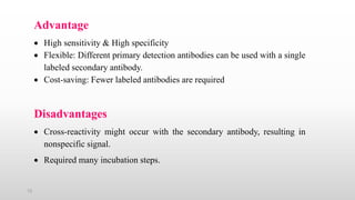 12
Advantage
 High sensitivity & High specificity
 Flexible: Different primary detection antibodies can be used with a single
labeled secondary antibody.
 Cost-saving: Fewer labeled antibodies are required
Disadvantages
 Cross-reactivity might occur with the secondary antibody, resulting in
nonspecific signal.
 Required many incubation steps.
 
