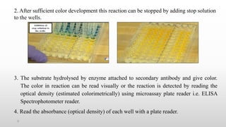 9
2. After sufficient color development this reaction can be stopped by adding stop solution
to the wells.
3. The substrate hydrolysed by enzyme attached to secondary antibody and give color.
The color in reaction can be read visually or the reaction is detected by reading the
optical density (estimated colorimetrically) using microassay plate reader i.e. ELISA
Spectrophotometer reader.
4. Read the absorbance (optical density) of each well with a plate reader.
 