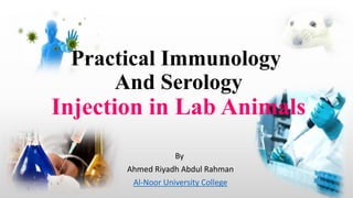 Practical Immunology
And Serology
Injection in Lab Animals
By
Ahmed Riyadh Abdul Rahman
Al-Noor University College
1
 