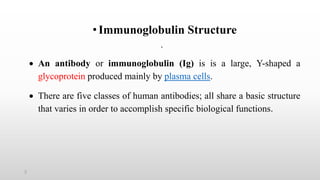 2
•Immunoglobulin Structure
•
 An antibody or immunoglobulin (Ig) is is a large, Y-shaped a
glycoprotein produced mainly by plasma cells.
 There are five classes of human antibodies; all share a basic structure
that varies in order to accomplish specific biological functions.
 