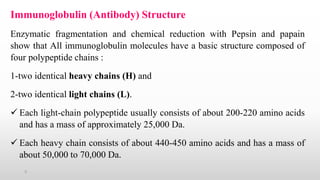 Immunoglobulin (Antibody) Structure
Enzymatic fragmentation and chemical reduction with Pepsin and papain
show that All immunoglobulin molecules have a basic structure composed of
four polypeptide chains :
1-two identical heavy chains (H) and
2-two identical light chains (L).
 Each light-chain polypeptide usually consists of about 200-220 amino acids
and has a mass of approximately 25,000 Da.
 Each heavy chain consists of about 440-450 amino acids and has a mass of
about 50,000 to 70,000 Da.
3
 