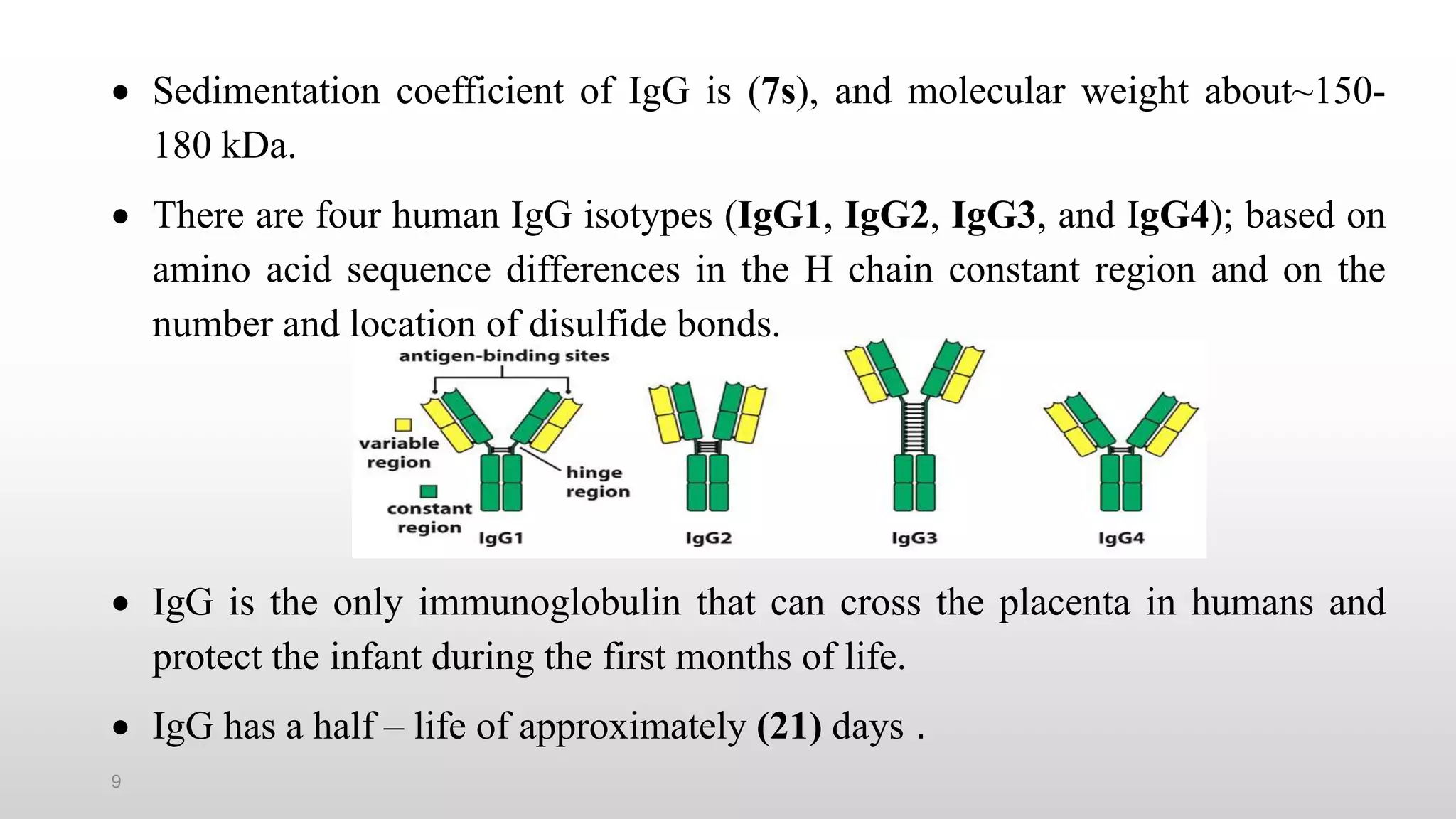 9
 Sedimentation coefficient of IgG is (7s), and molecular weight about~150-
180 kDa.
 There are four human IgG isotypes (IgG1, IgG2, IgG3, and IgG4); based on
amino acid sequence differences in the H chain constant region and on the
number and location of disulfide bonds.
 IgG is the only immunoglobulin that can cross the placenta in humans and
protect the infant during the first months of life.
 IgG has a half – life of approximately (21) days .
 