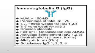 Structure Function Relationship of Antibodies | PPTX