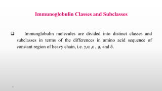 Structure Function Relationship of Antibodies | PPTX