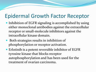 Epidermal Growth Factor Receptor
 Inhibition of EGFR signaling is accomplished by using
  either monoclonal antibodies against the extracellular
  receptor or small-molecule inhibitors against the
  intracellular kinase domain.
 Both strategies results in inhibition of
  phosphorylation or receptor activation.
 Erlotinib is a potent reversible inhibitor of EGFR
  tyrosine kinase that blocks receptor
  autophosphorylation and has been used for the
  treatment of ovarian carcinoma.
 