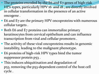  The proteins encoded by the E6 and E7 genes of high-risk
    HPV types, particularly HPV 16 and 18 , are directly involved
    in cellular transformation in the presence of an active
    oncogene .
   E6 and E7 are the primary HPV oncoproteins with numerous
    cellular targets .
   Both E6 and E7 proteins can immortalize primary
    keratinocytes from cervical epithelium and can influence
    transcription from viral and cellular promoters .
   The activity of these viral oncoproteins results in genomic
    instability, leading to the malignant phenotype.
   E6 proteins of high-risk HPV types bind the tumor
    suppressor protein p53 .
   This induces ubiquitination and degradation of
    p53, removing the p53-dependent control of the host cell
    cycle .
 