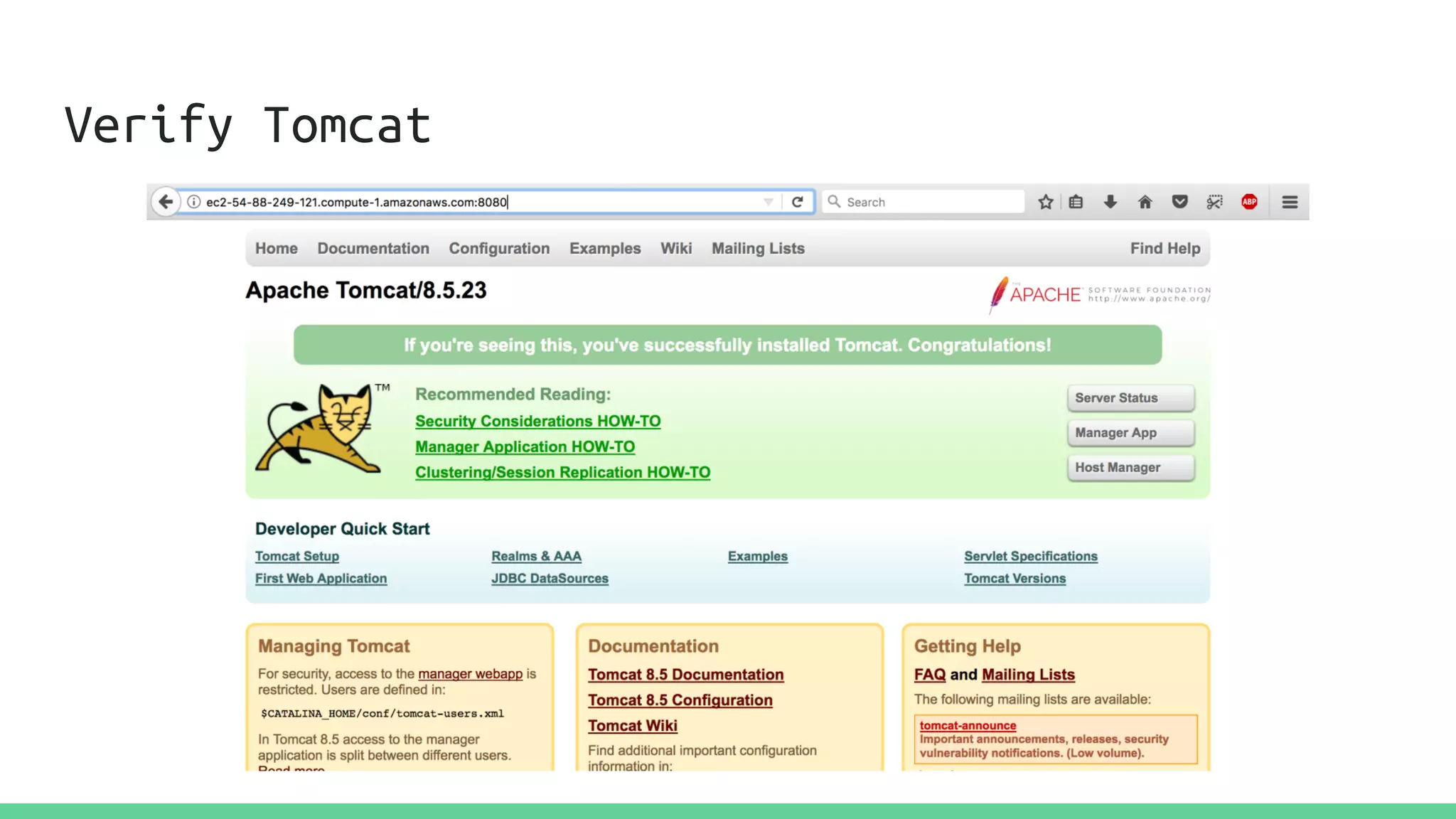 Verify Tomcat
 