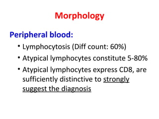 Morphology
Peripheral blood:
• Lymphocytosis (Diff count: 60%)
• Atypical lymphocytes constitute 5-80%
• Atypical lymphocytes express CD8, are
sufficiently distinctive to strongly
suggest the diagnosis
 