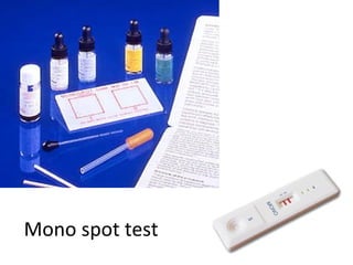 Mono spot test
 
