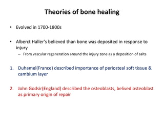 Theories of bone healing
• Evolved in 1700-1800s
• Alberct Haller’s believed than bone was deposited in response to
injury
– From vascular regeneration around the injury zone as a deposition of salts
1. Duhamel(France) described importance of periosteal soft tissue &
cambium layer
2. John Godsir(England) described the osteoblasts, belived osteoblast
as primary origin of repair
 